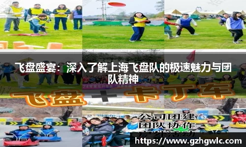 飞盘盛宴：深入了解上海飞盘队的极速魅力与团队精神
