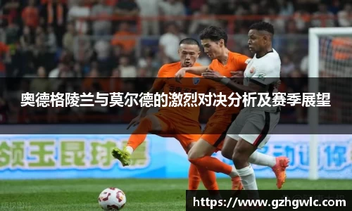 yy易游体育网址