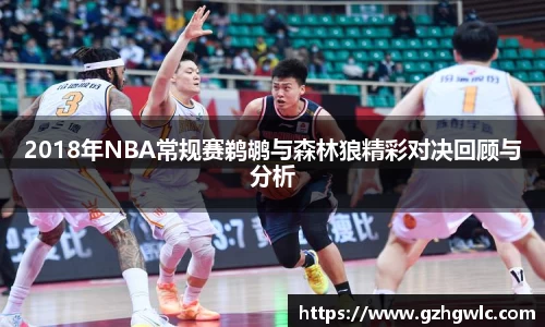2018年NBA常规赛鹈鹕与森林狼精彩对决回顾与分析